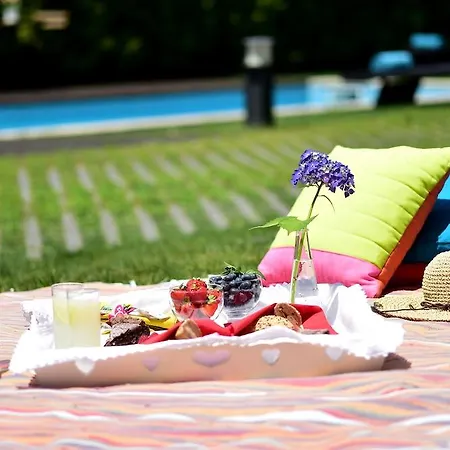 Solar Egas Moniz 4* Penafiel