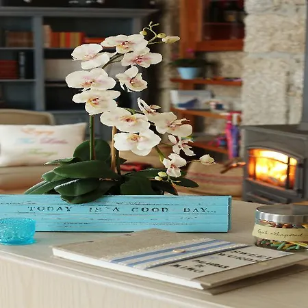 Solar Egas Moniz Hotel 4*