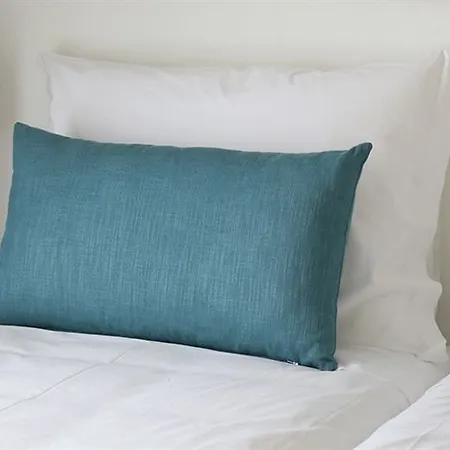 Hotel Solar Egas Moniz