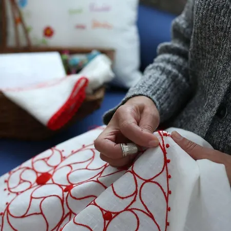 Solar Egas Moniz Hotel