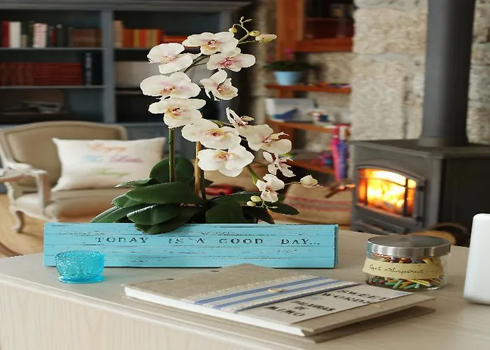 Solar Egas Moniz فندق 4*