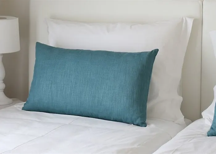 فندق Solar Egas Moniz