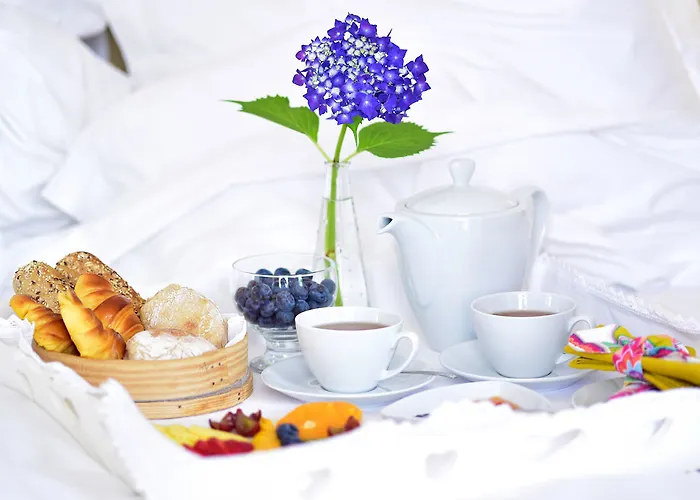 Solar Egas Moniz بينافيل