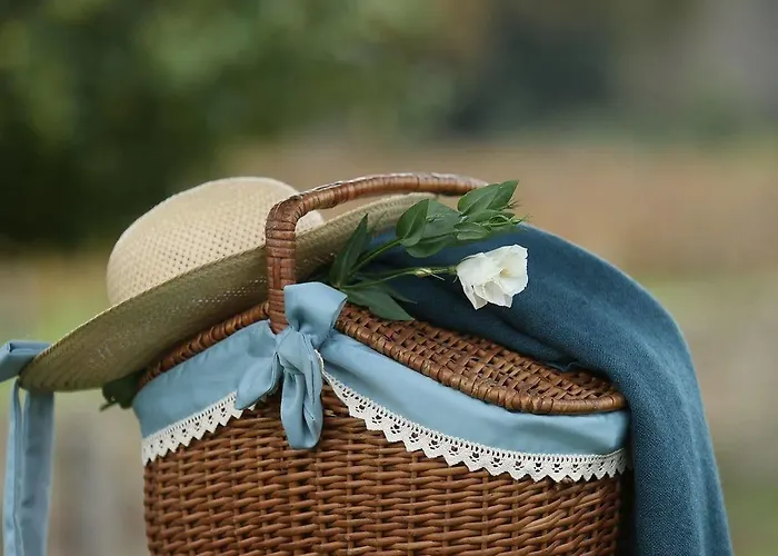 Solar Egas Moniz Hotel 4*